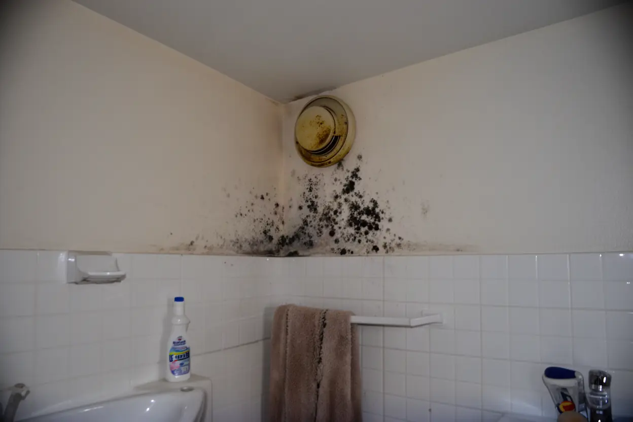 Moisissures sur mur de salle de bain à La Salvetat-Saint-Gilles
