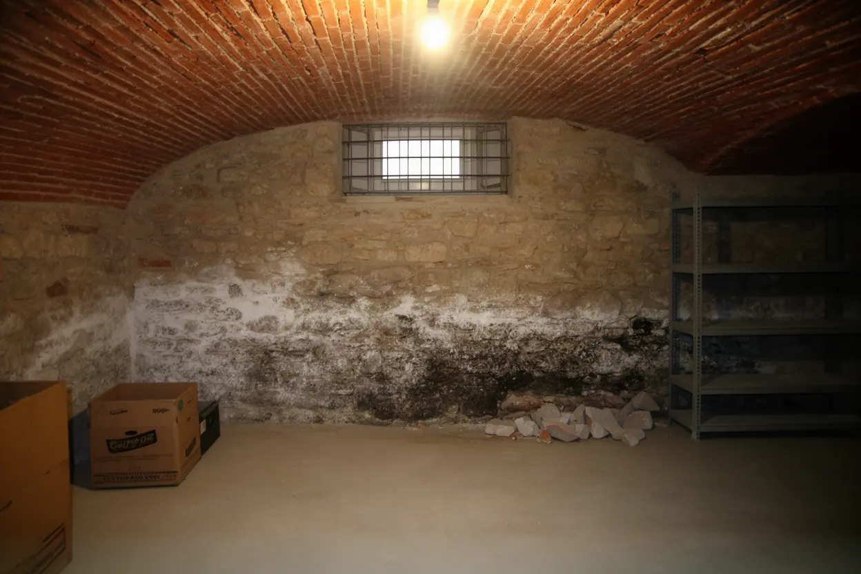 Mur de cave couvert de salpêtre avant cuvelage à Castanet-Tolosan